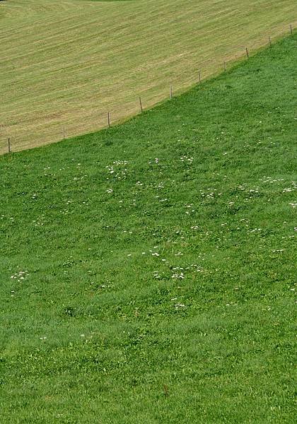 0819-10.jpg