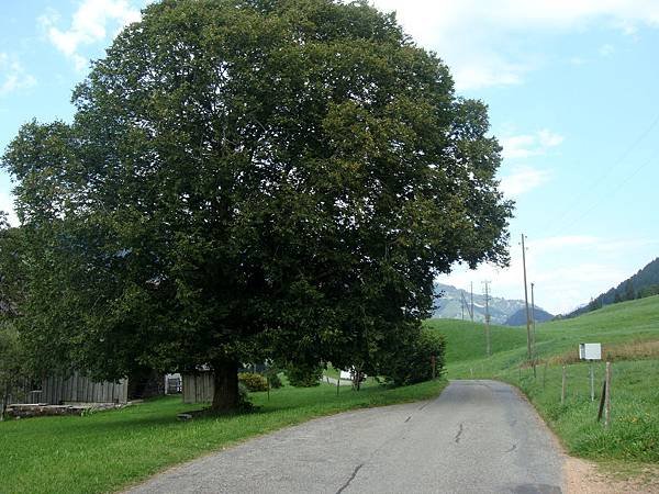 0819-133.jpg