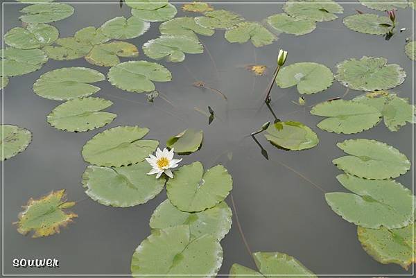 P1180461