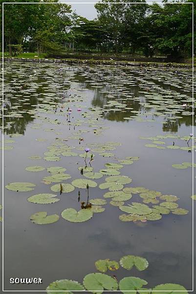 P1180463