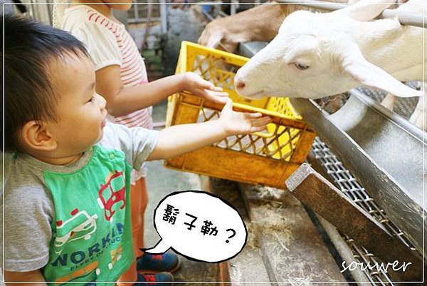 IMG_3999洗這張～跟摸育政舅舅鬍子一樣的動作.JPG