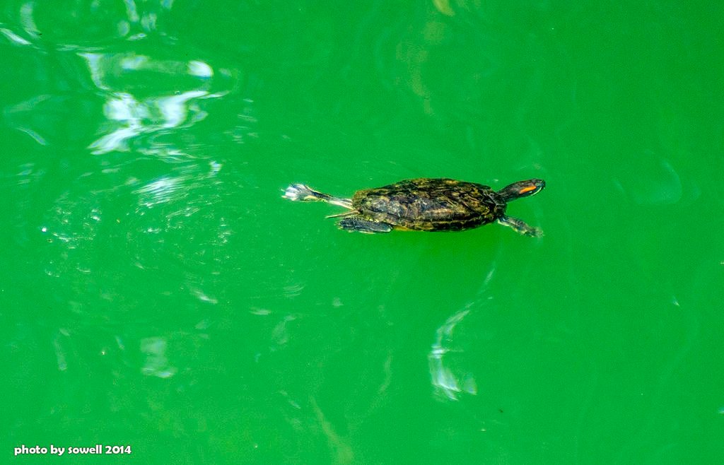 DSC04309.JPG