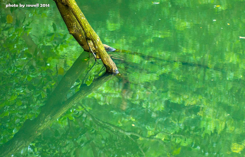 DSC04317.JPG