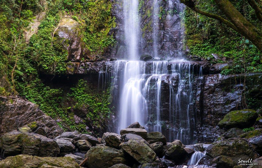 SWY_2967.JPG
