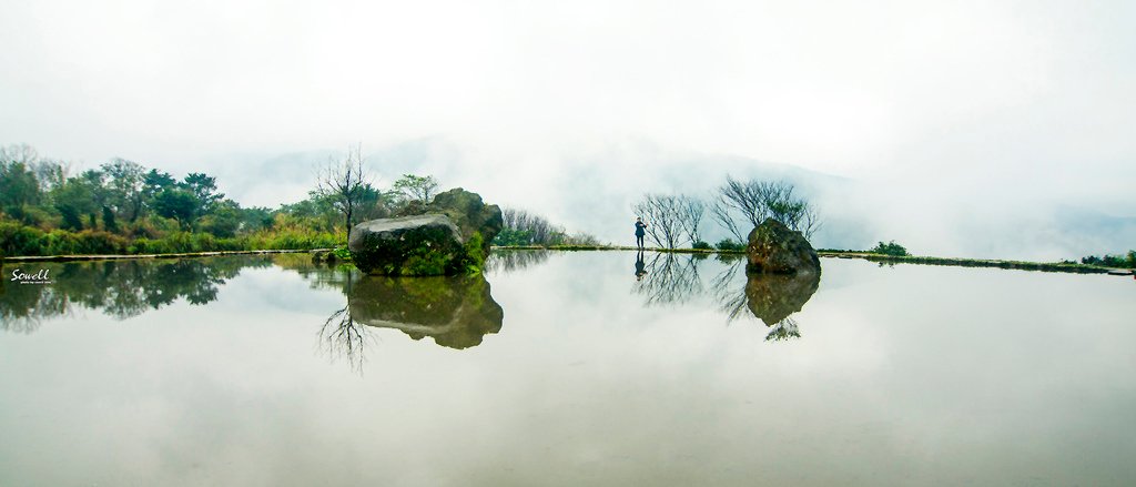 SWY_9387.JPG
