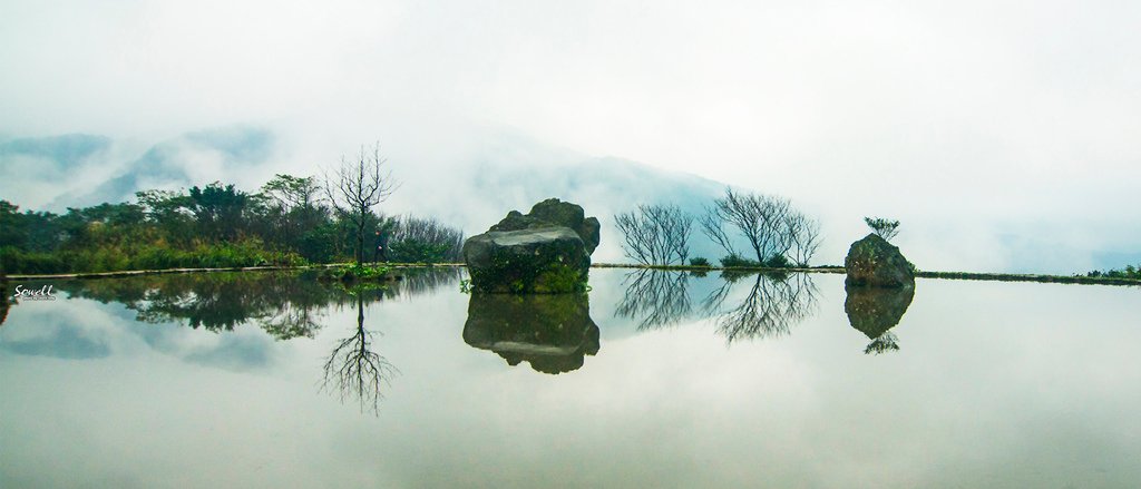 SWY_9388.JPG