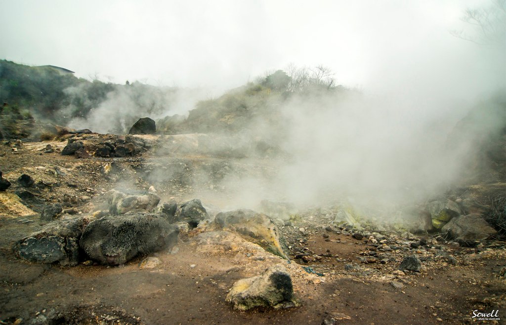 SWY_9461.JPG