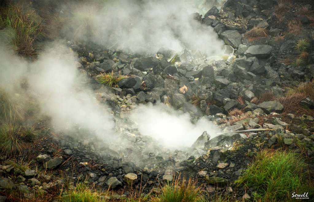 SWY_9476.JPG