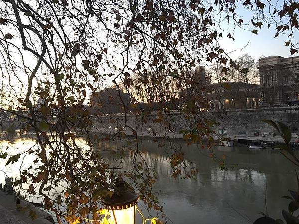 IMG_7495.jpg