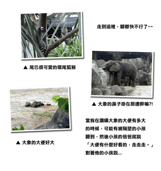 未命名-11.png