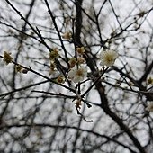 IMG_9254.jpg