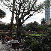 IMG_4029