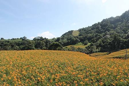 IMG_5756