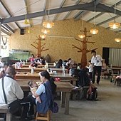 IMG_7754