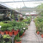 IMG_7952