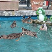 IMG_7940