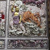 IMG_1911