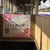 1471187586727.jpg