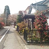 P_20170417_094021.jpg