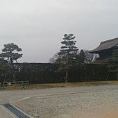 P_20170417_094410.jpg