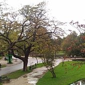 P_20171008_091157.jpg