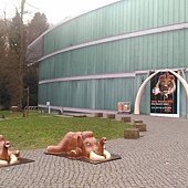 50551.0.jpg