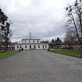DSC01016.JPG