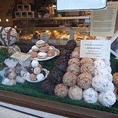 DSC01213.JPG
