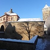 DSC01229.JPG