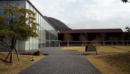 IMG_20181125_102417_2.jpg