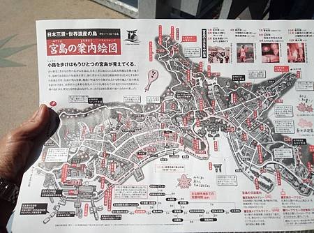 IMG_20190502_093050_6.jpg