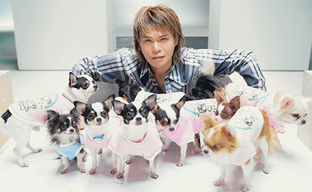 500-dog-1.jpg