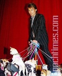 500-dog-4.jpg