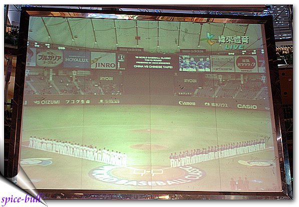wbc t6.jpg