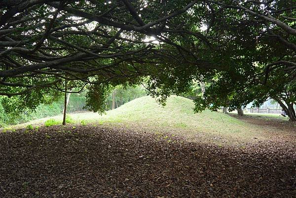 亞亞的野餐約會《大溪埔頂公園》 (16).JPG