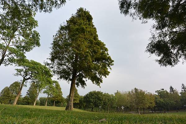 亞亞的野餐約會《大溪埔頂公園》 (23).JPG