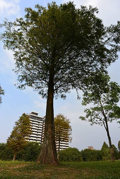 亞亞的野餐約會《大溪埔頂公園》 (24).JPG