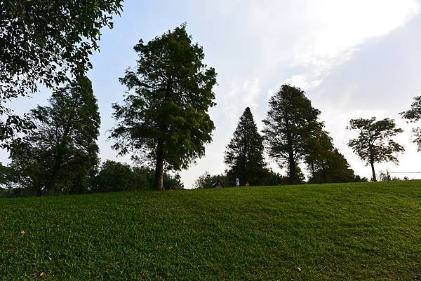 亞亞的野餐約會《大溪埔頂公園》 (41).JPG