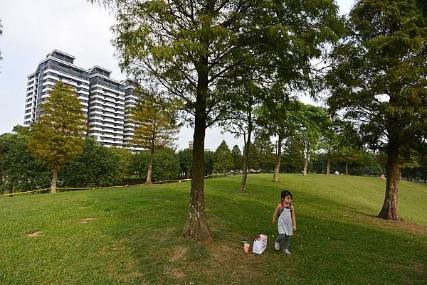 亞亞的野餐約會《大溪埔頂公園》 (45).JPG