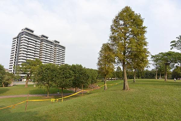 亞亞的野餐約會《大溪埔頂公園》 (50).JPG