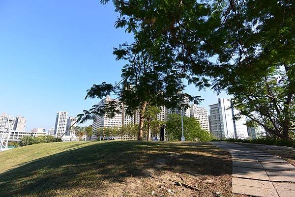 亞亞的野餐約會《文心森林公園》 (48).JPG