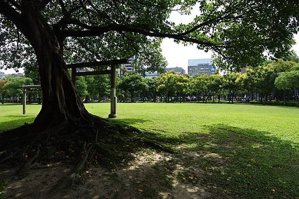 亞亞的林森公園寫真 (5).JPG