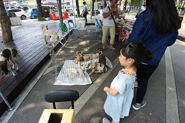 亞亞的台中市集散策 (9).JPG