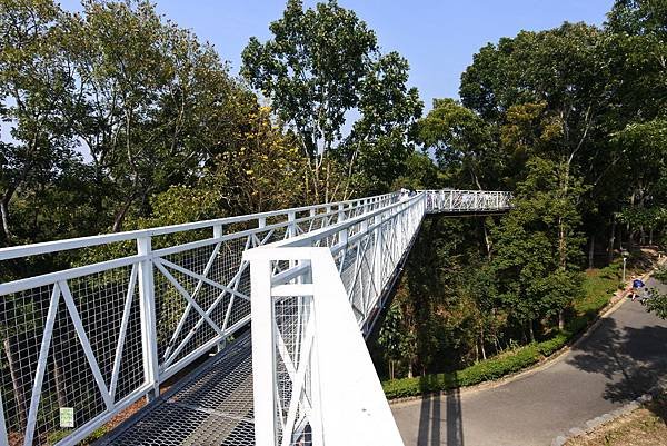 嘉義縣竹崎鄉竹崎親水公園：天空走廊 (5).JPG