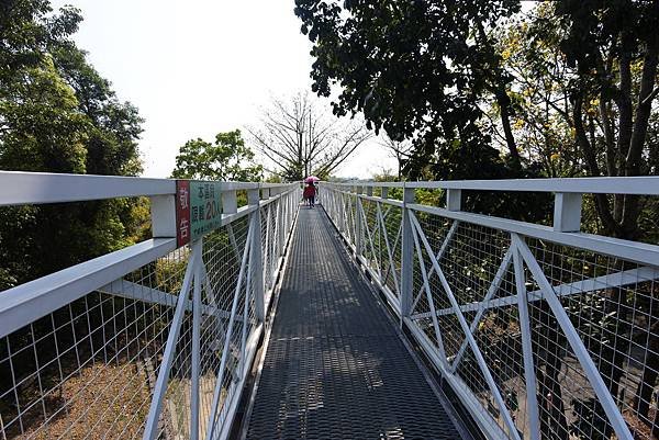 嘉義縣竹崎鄉竹崎親水公園：天空走廊 (2).JPG