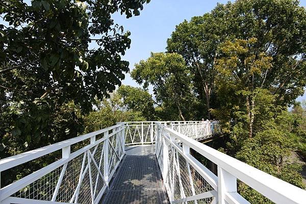 嘉義縣竹崎鄉竹崎親水公園：天空走廊 (3).JPG