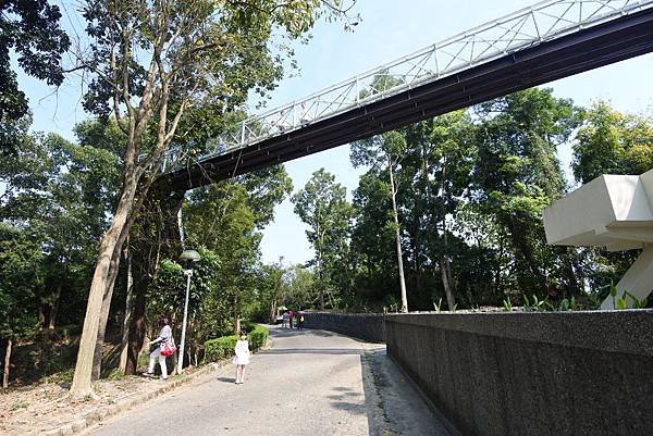 嘉義縣竹崎鄉竹崎親水公園：天空走廊 (7).JPG