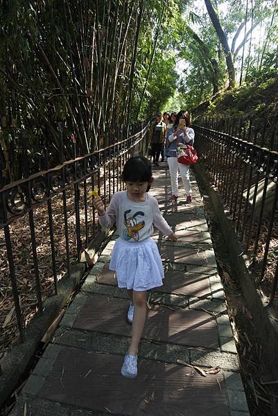 嘉義縣竹崎鄉竹崎親水公園：天空走廊 (9).JPG