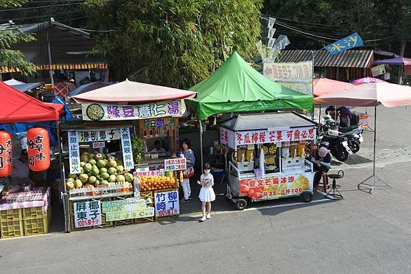 嘉義縣竹崎鄉竹崎親水公園：天空走廊 (11).JPG