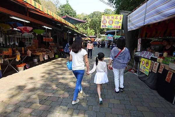 嘉義縣竹崎鄉竹崎親水公園：天空走廊 (20).JPG